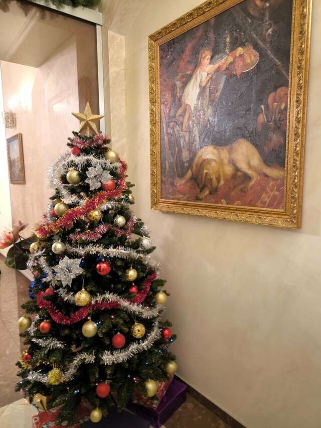 Гостиница Никонов Санкт-Петербург-40