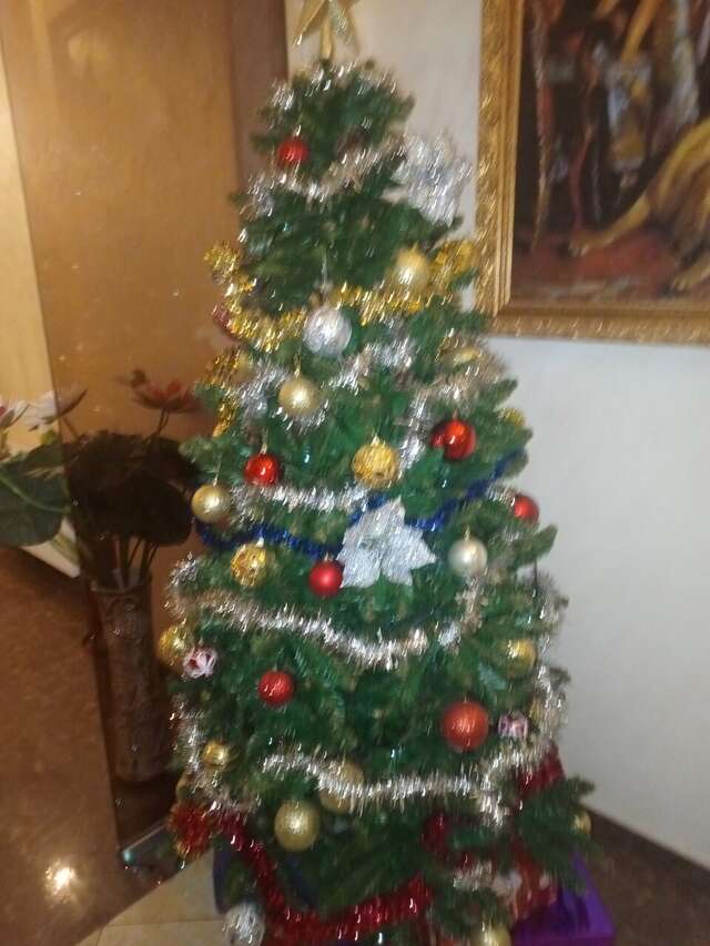 Гостиница Никонов Санкт-Петербург-78